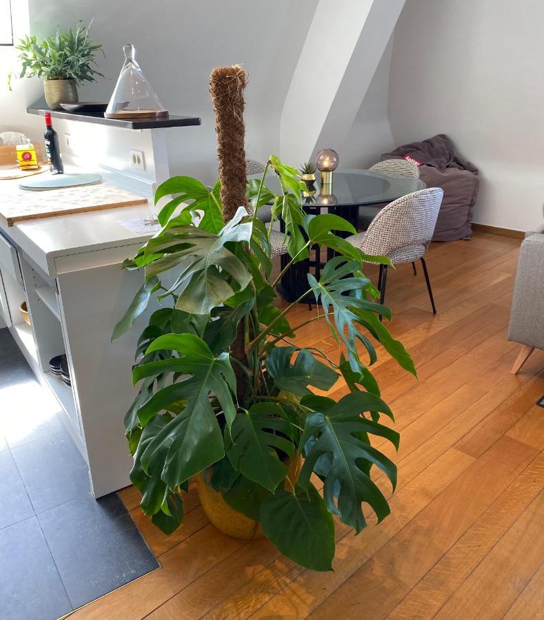 Definitief Gesloten Apartment Остенде Екстериор снимка